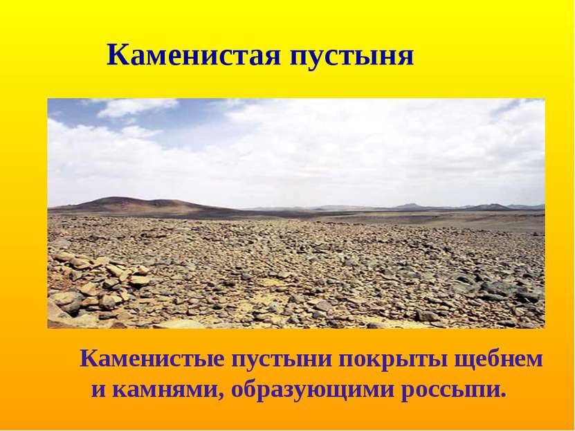 Каменистая пустыня Каменистые пустыни покрыты щебнем и камнями, образующими р...