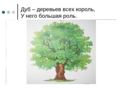 Дуб – деревьев всех король, У него большая роль.
