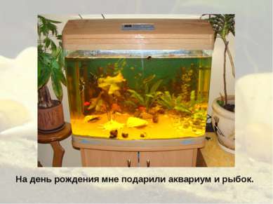 На день рождения мне подарили аквариум и рыбок.