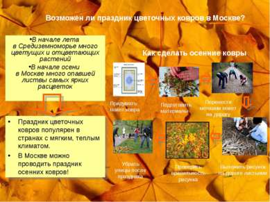 Возможен ли праздник цветочных ковров в Москве? В начале лета в Средиземномор...