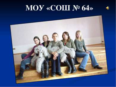 МОУ «СОШ № 64»