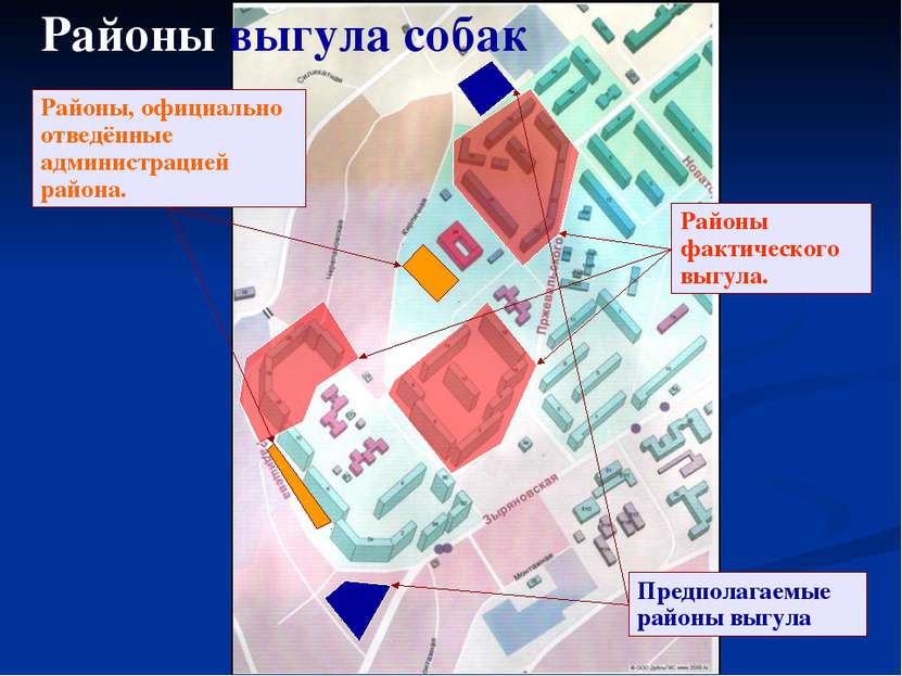 Предполагаемые районы выгула Районы, официально отведённые администрацией рай...