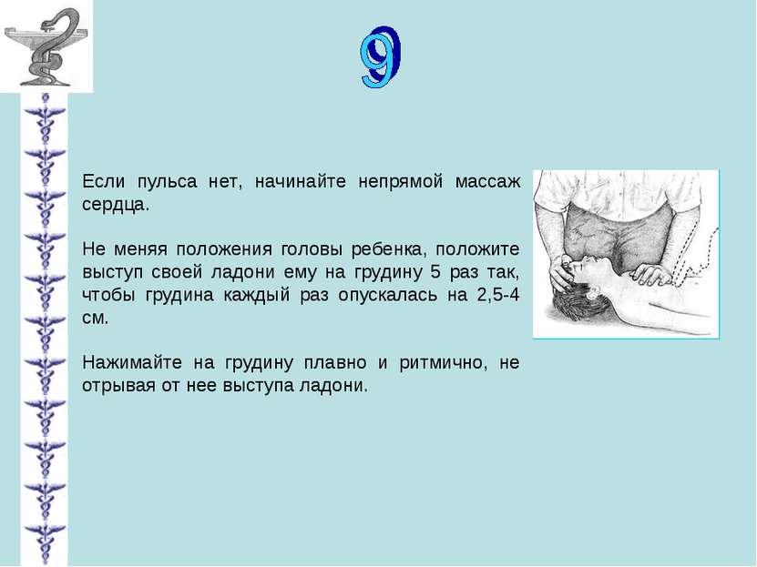 Если пульса нет, начинайте непрямой массаж сердца. Не меняя положения головы ...