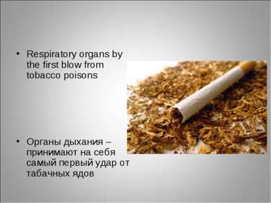 Respiratory organs by the first blow from tobacco poisons Органы дыхания – пр...