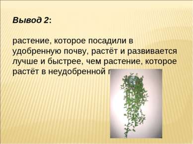 Вывод 2: растение, которое посадили в удобренную почву, растёт и развивается ...