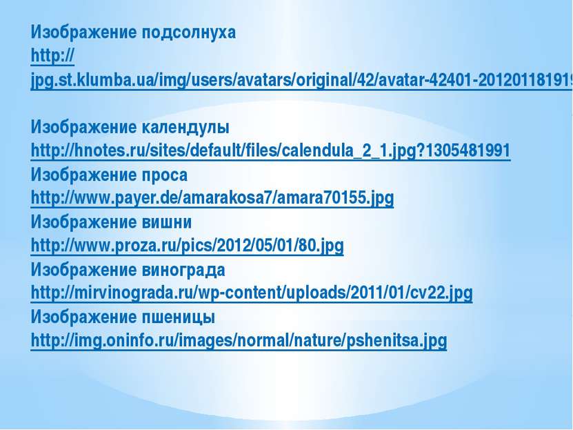 Изображение подсолнуха http://jpg.st.klumba.ua/img/users/avatars/original/42/...