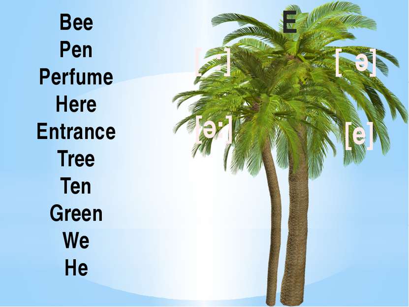 Bee Pen Perfume Here Entrance Tree Ten Green We He E [ι:] [ә:] [ιә] [e]