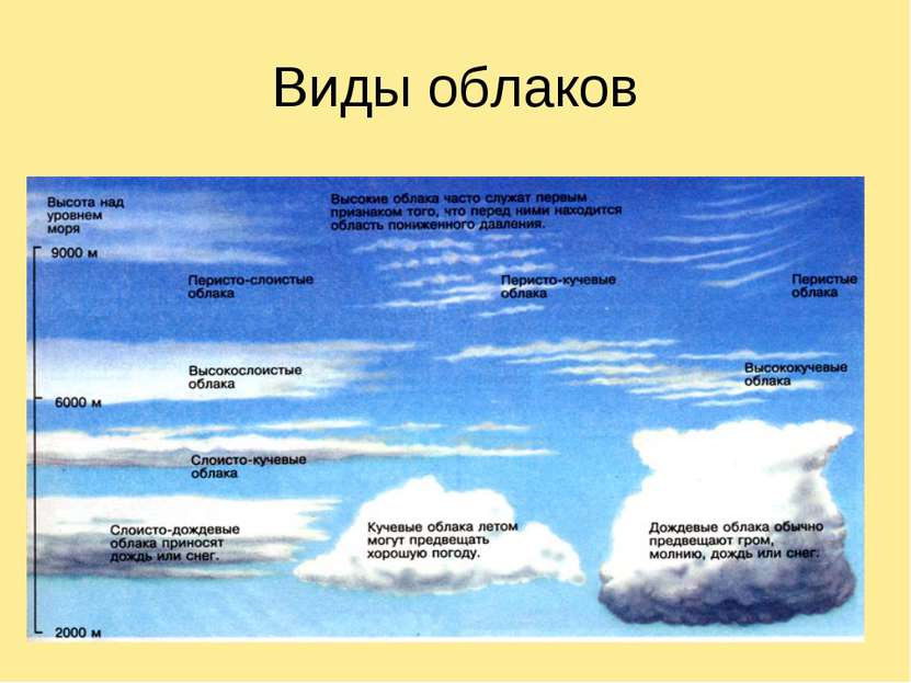 Виды Облаков И Их Фото