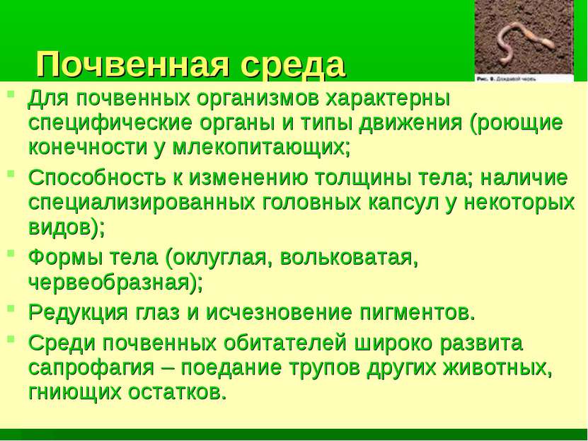 Почвенная среда Для почвенных организмов характерны специфические органы и ти...