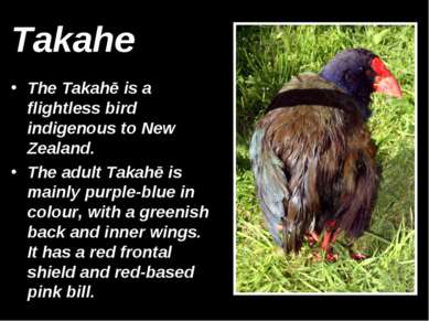 Takahe The Takahē is a flightless bird indigenous to New Zealand. The adult T...