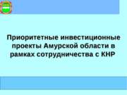 Приоритетные инвестиционные проекты Амурской области в рамках сотрудничества ...