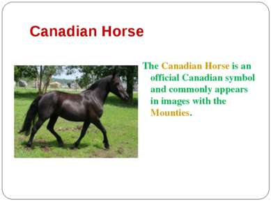 Canadian Horse The Canadian Horse is an official Canadian symbol and commonly...