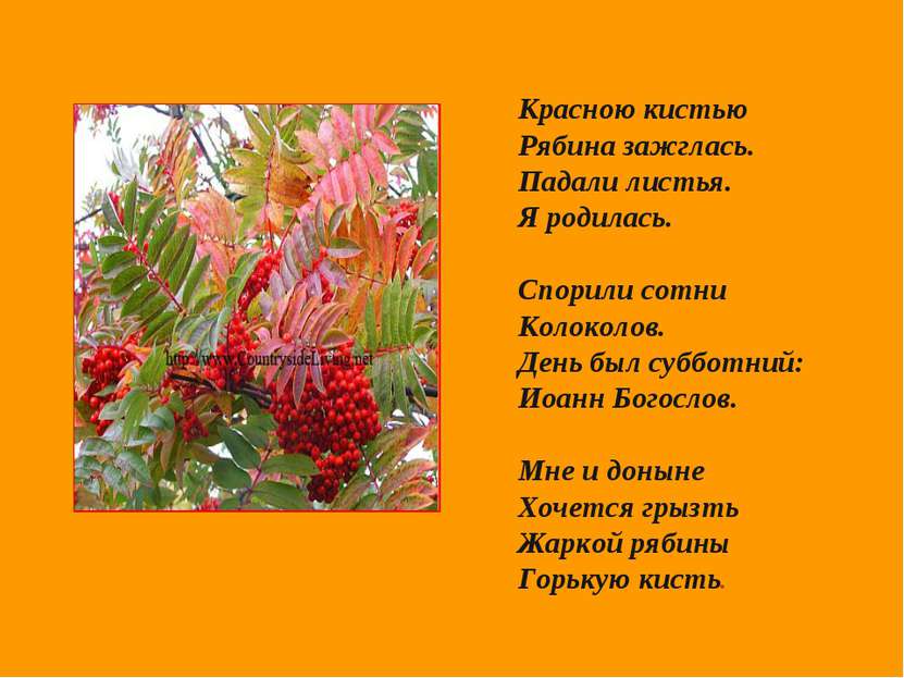 Красною кистью Рябина зажглась. Падали листья. Я родилась. Спорили сотни Коло...