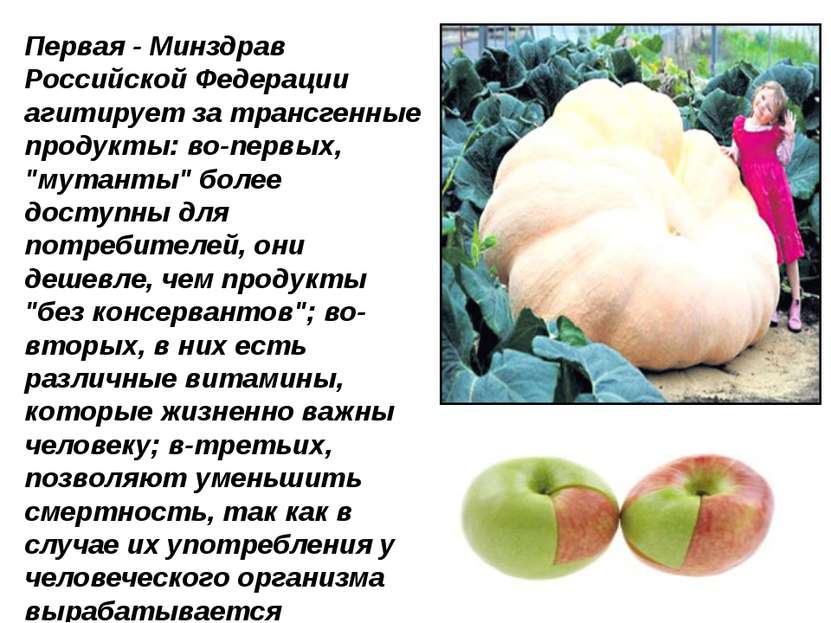 Первая - Минздрав Российской Федерации агитирует за трансгенные продукты: во-...