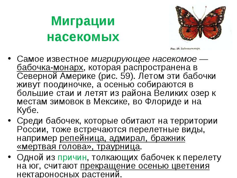 Миграции насекомых Самое известное мигрирующее насекомое — бабочка-монарх, ко...