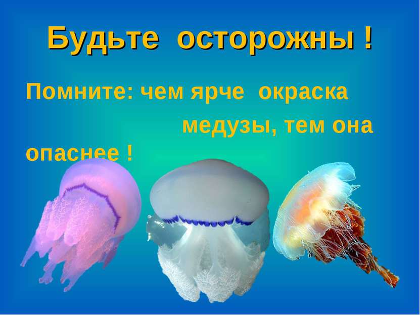 Будьте осторожны ! Помните: чем ярче окраска медузы, тем она опаснее !