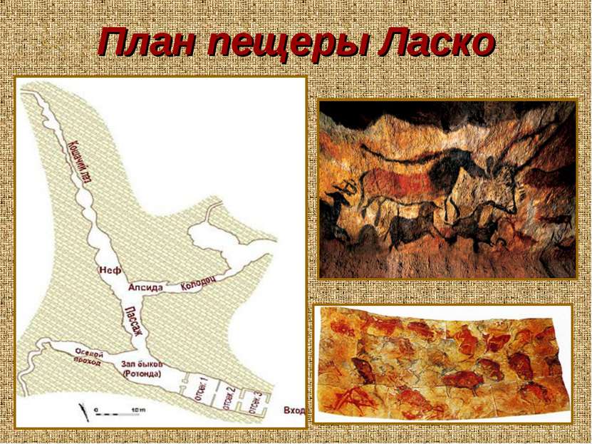 План пещеры Ласко
