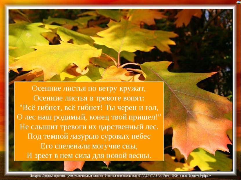 Осенние листья по ветру кружат, Осенние листья в тревоге вопят: "Всё гибнет, ...