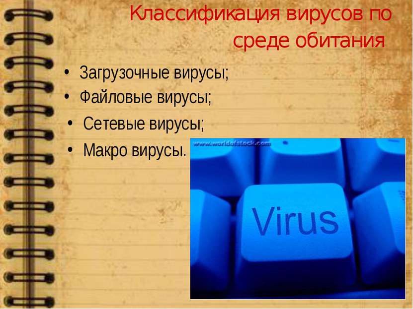 Классификация вирусов по среде обитания Сетевые вирусы; Макро вирусы. Загрузо...