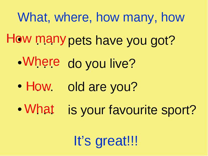 What, where, how many, how . . . pets have you got? . . . do you live? . . . ...