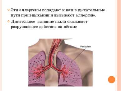 Эти аллергены попадают к нам в дыхательные пути при вдыхании и вызывают аллер...