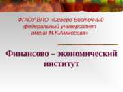 Финансово – экономический институт