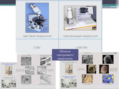 Объекты электронного микроскопа