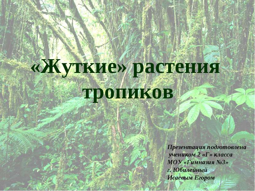 «Жуткие» растения тропиков Презентация подготовлена учеником 2 «Г» класса МОУ...