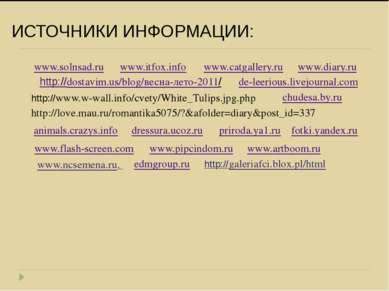 ИСТОЧНИКИ ИНФОРМАЦИИ: www.flash-screen.com www.itfox.info www.catgallery.ru w...