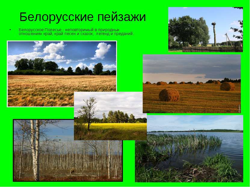 Белорусские пейзажи Белорусское Полесье - неповторимый в природных отношениях...