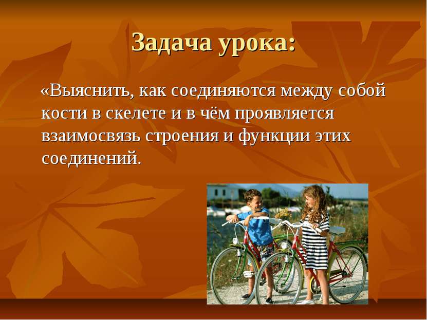 Задача урока: «Выяснить, как соединяются между собой кости в скелете и в чём ...