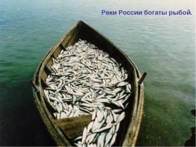 Реки России богаты рыбой.