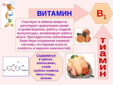 ВИТАМИН B1 Участвует в обмене веществ, регулирует циркуляцию крови и кроветво...