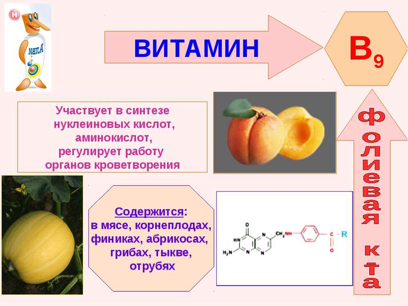 ВИТАМИН B9 Участвует в синтезе нуклеиновых кислот, аминокислот, регулирует ра...