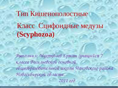 Класс Сцифоидные медузы (Scyphozoa) Тип Кишенополостные Выполнил: Мухтубаев Е...