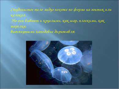 Студенистое тело медуз похоже по форме на зонтик или колокол. Но они бывают и...
