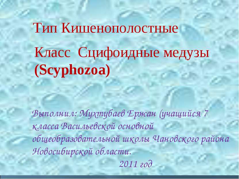 Класс Сцифоидные медузы (Scyphozoa) Тип Кишенополостные Выполнил: Мухтубаев Е...