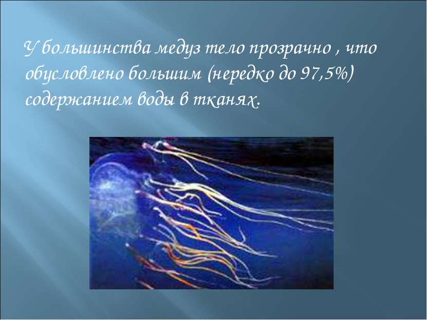 У большинства медуз тело прозрачно , что обусловлено большим (нередко до 97,5...