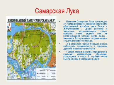 Самарская Лука Название Самарская Лука происходит от географического названия...