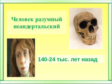 Человек разумный неандертальский 140-24 тыс. лет назад