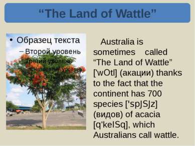 Australia is sometimes called “Kangarooland“ because there are 55 kinds of ka...