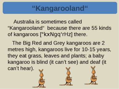 Kangaroos can jump 9 metres long. They can jump very fast – 30 kilometres an ...