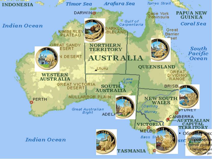 На щите изображены элементы гербов шести штатов, входящих в Австралийский Сою...