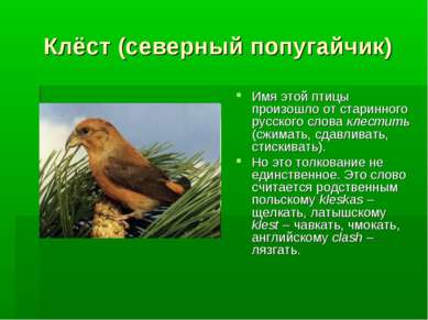 Клёст (северный попугайчик) Имя этой птицы произошло от старинного русского с...