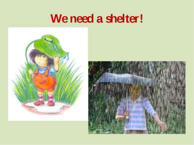 We need a shelter!