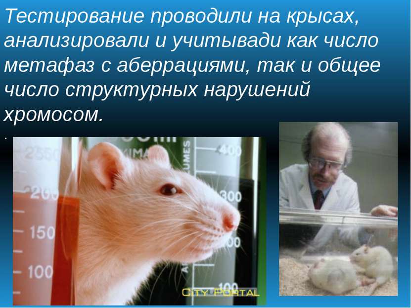 Тестирование проводили на крысах, анализировали и учитывади как число метафаз...