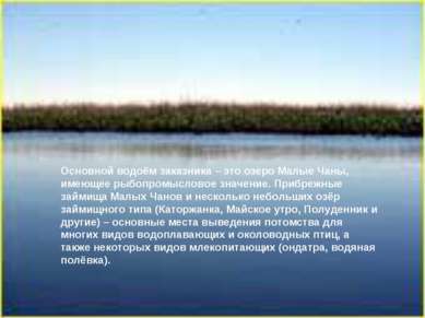 Основной водоём заказника – это озеро Малые Чаны, имеющее рыбопромысловое зна...
