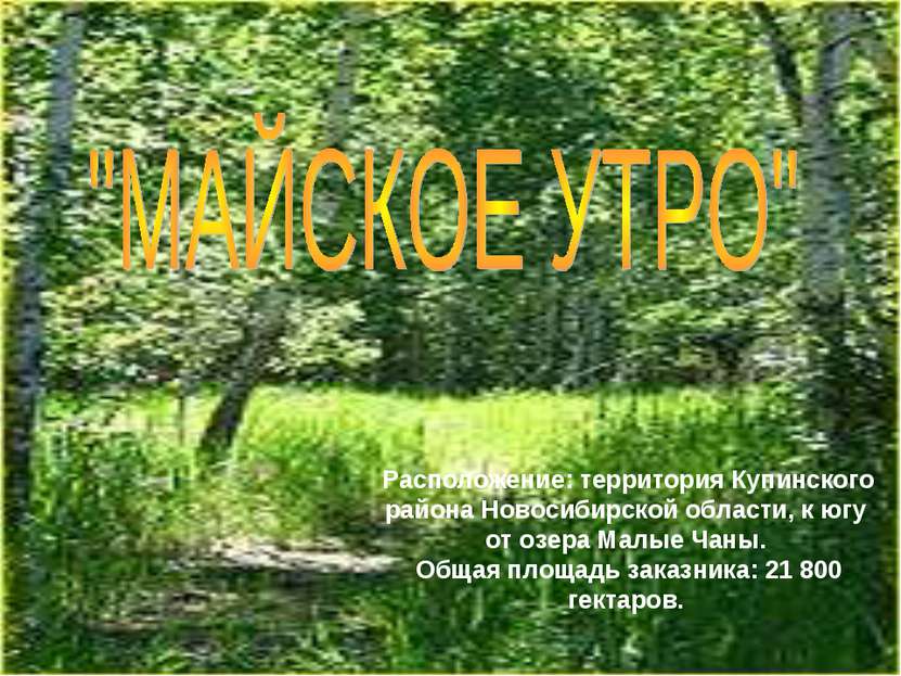 Расположение: территория Купинского района Новосибирской области, к югу от оз...