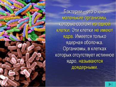 Бактерии – это очень маленькие организмы, которые состоят из одной клетки. Эт...