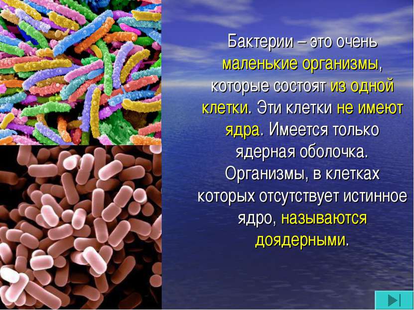Бактерии – это очень маленькие организмы, которые состоят из одной клетки. Эт...
